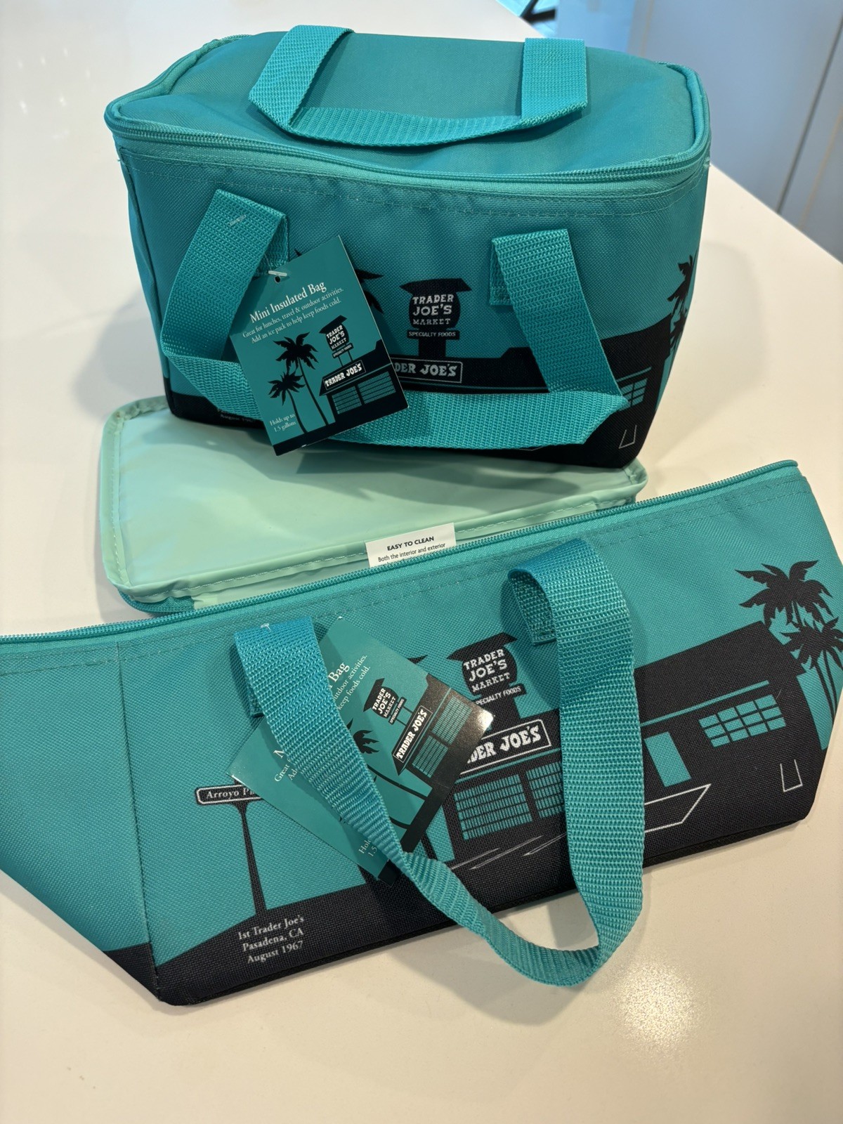 Trader Joe’s 2 Insulated (TEAL) Mini Tote Bags *LIMITED* (With Tags)