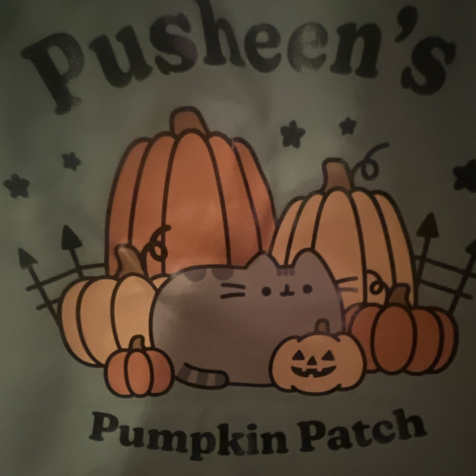 Pusheen Pumpkin Patch Green Reusable Tote Shopping Bag Graphic Print 13×12