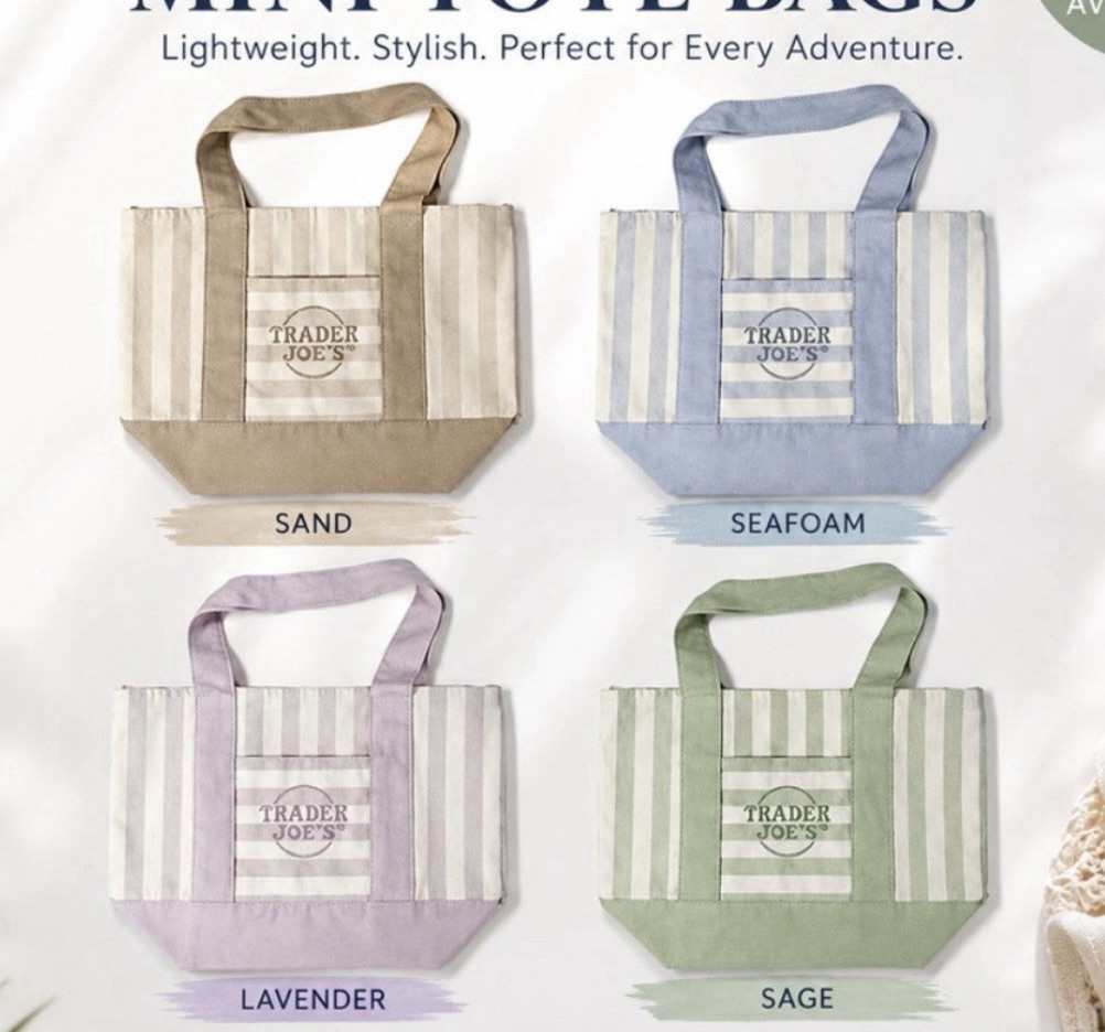 Trader Joe’s Canvas Mini Tote Bag Striped Multicolor 13x11x6 in New