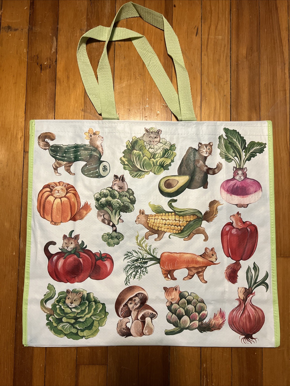 TJ MAXX Fancy Cats As Fancy VEGGIES- Large Reusable Shopping Tote Eco Bag