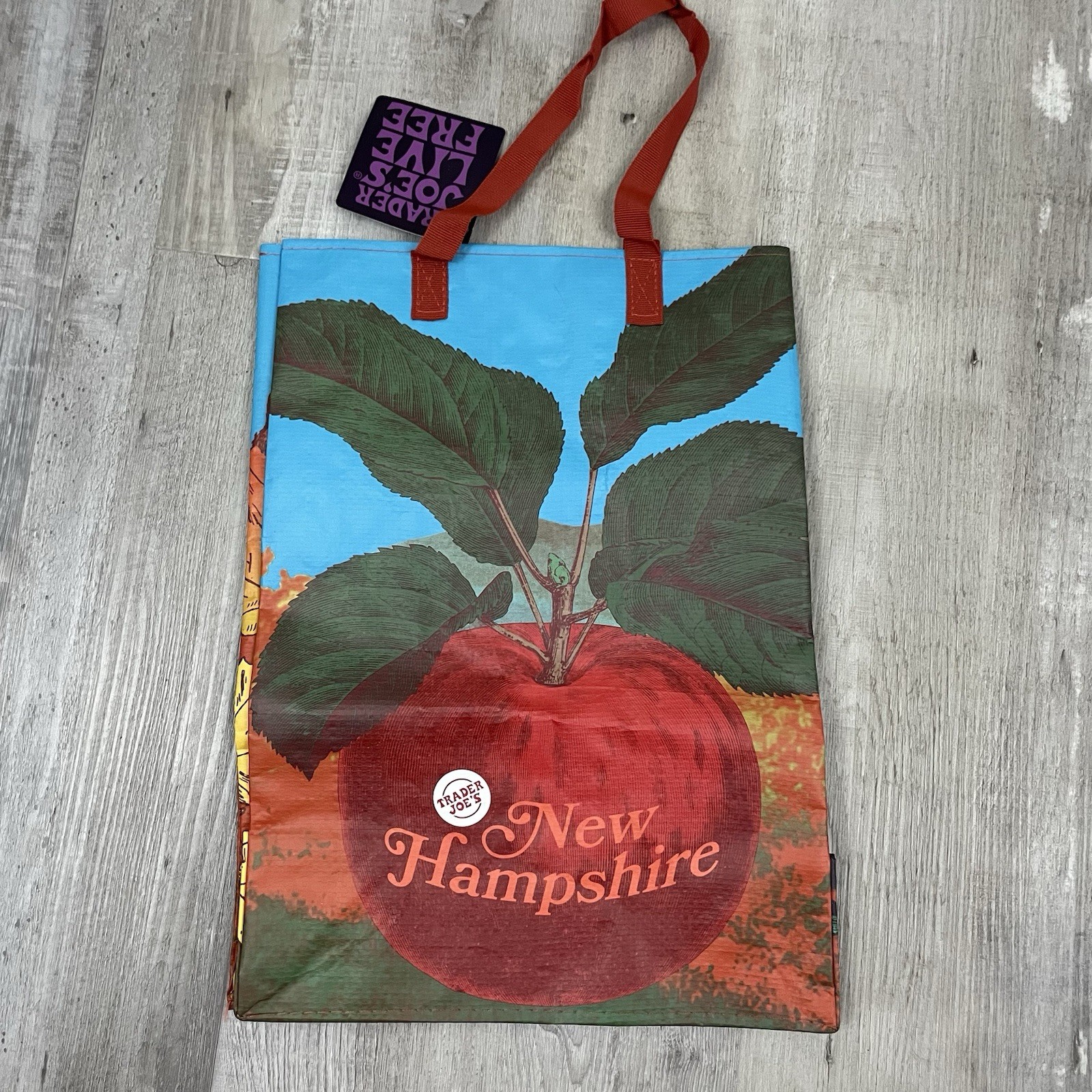 Trader Joes Lot Of 3 Reusable Bags 6 Gallon Alabama Philadelphia New Hampshire