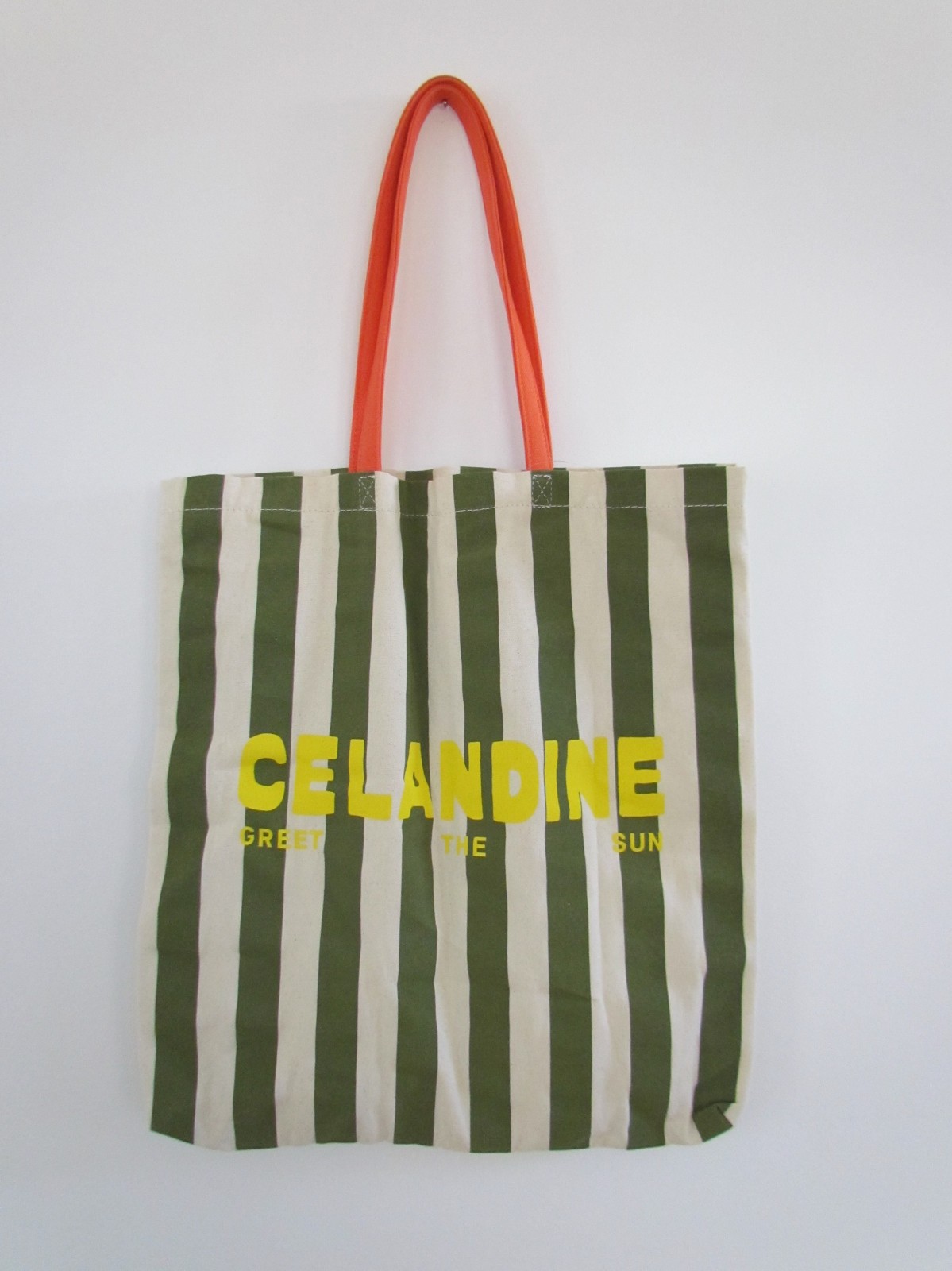 NEW Anthropologie Celandine Tote Bag & Sunglass Case Green Stripe NWT