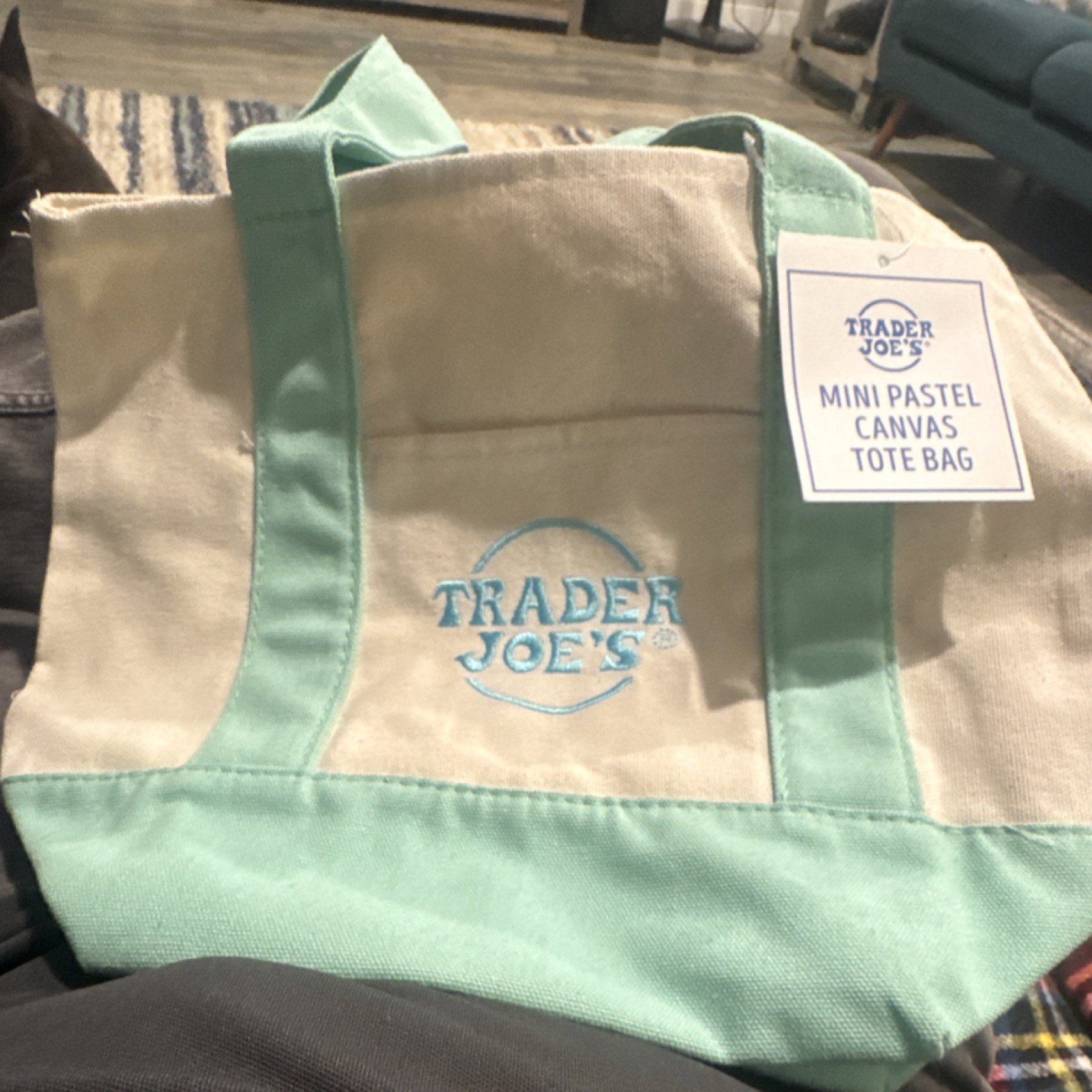 Trader Joe’s Mini Pastel Green Beige Foldable Canvas Tote Bag Cotton Polyester