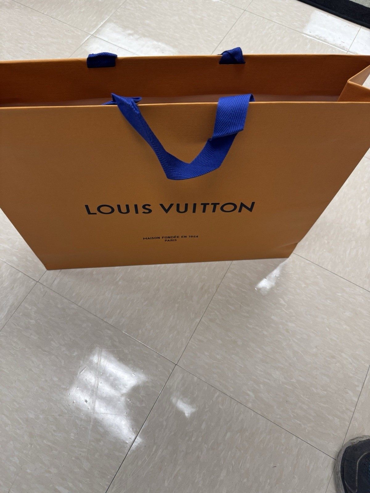 Set of 10-LOUIS VUITTON Large Shopping Tote Gift Bags Authentic