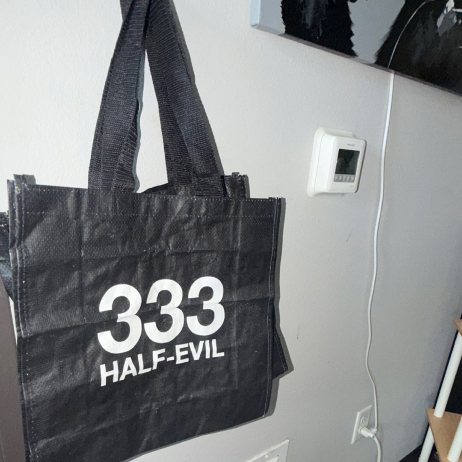 Half-Evil Black Small Shopping bag, COMES WITH SEALED DISPOSABLE CAMERA :)