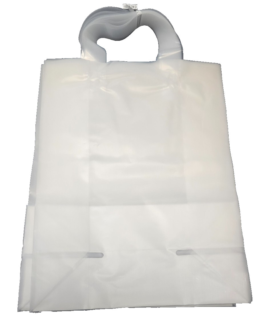 Frosted Plastic Shopping Bags 8x10x5 3 Mil HDPE Loop Handle 25 Pack Gift Bags