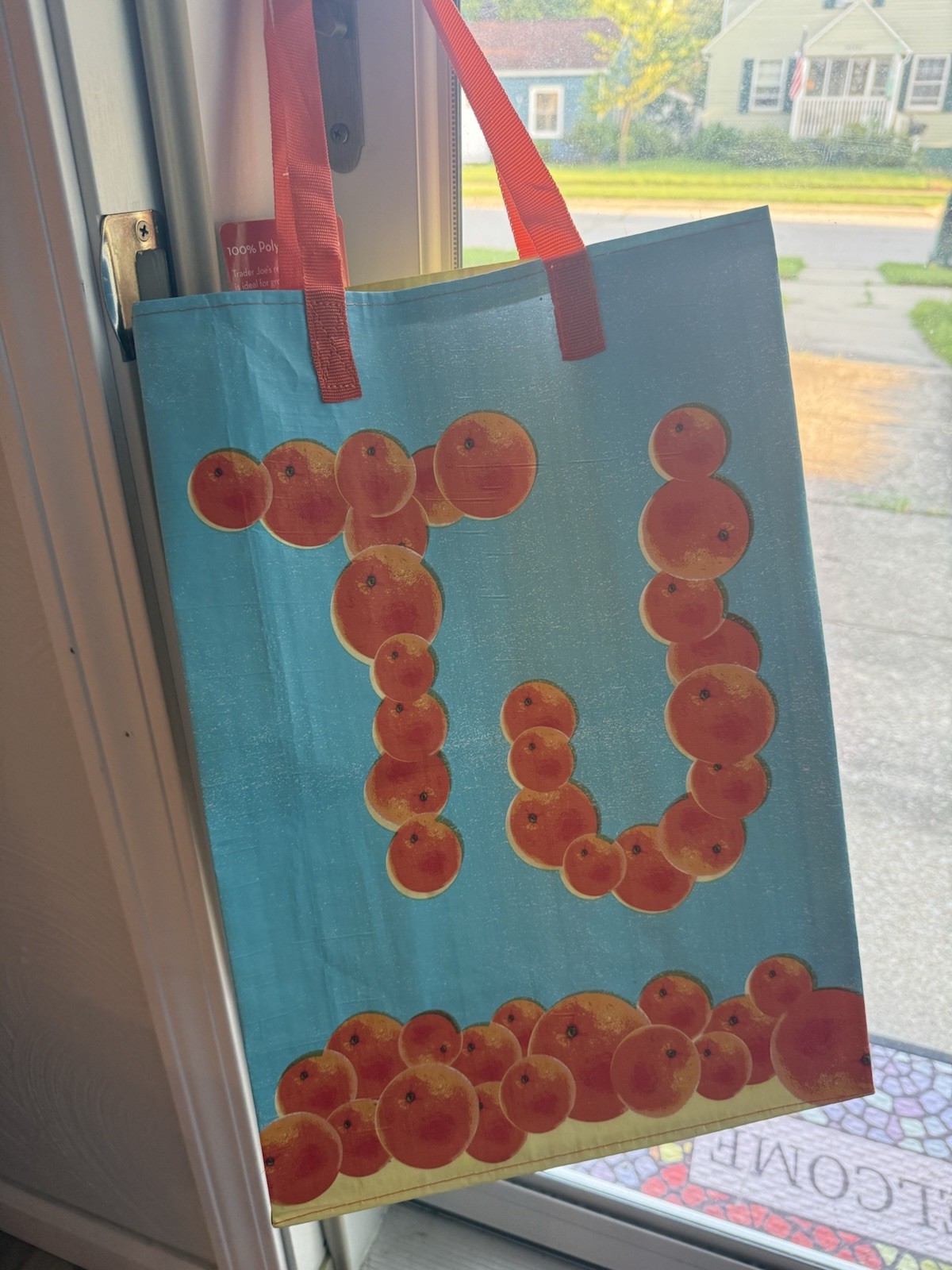 Trader Joe’s Florida Reusable State Bag NWT-6 Gal