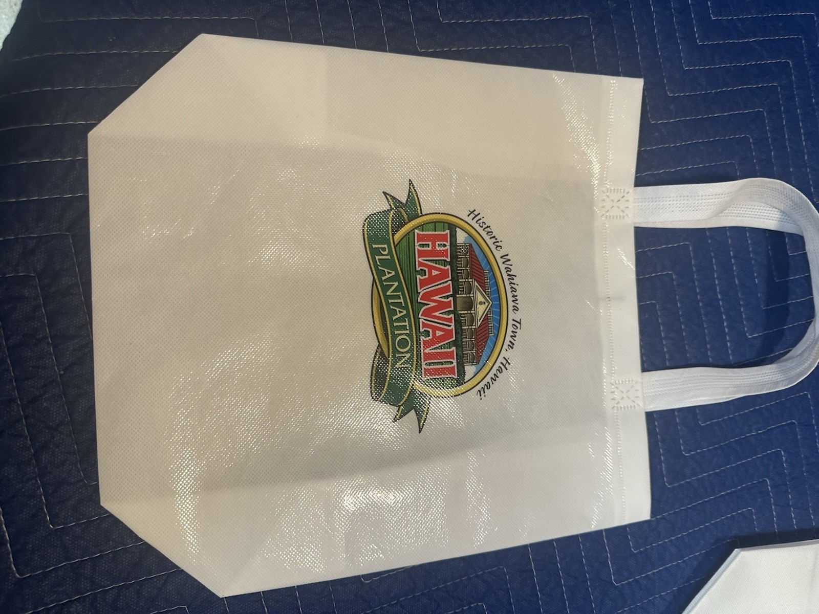 NEW! HAWAII Reusable Shopping Tote Bags (Lot of 3) Small -Souvenirs! See pics!
