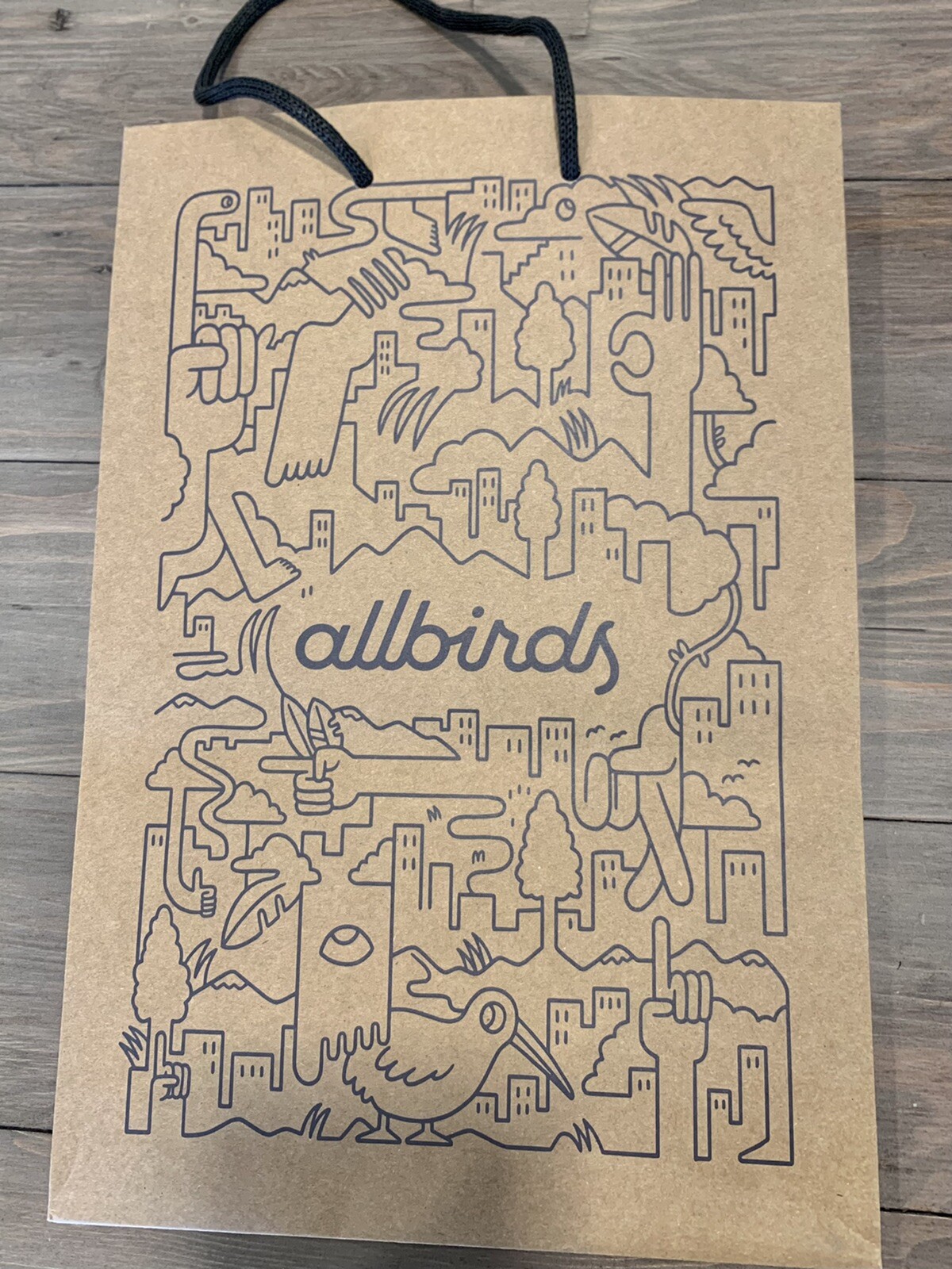 Allbirds Paper shopping bag