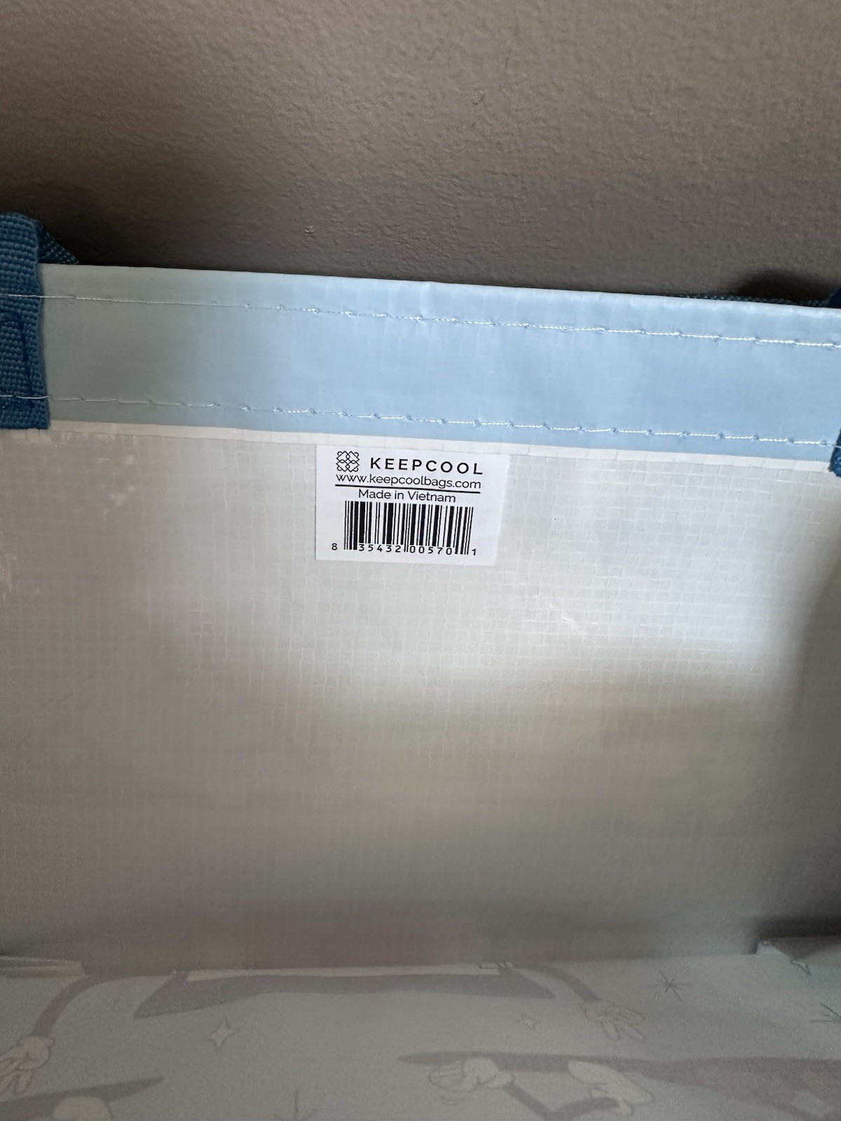 Costco Reusable Shopping Bag Keep Cool (1) Single Bag Bottle Holder Inside Blue