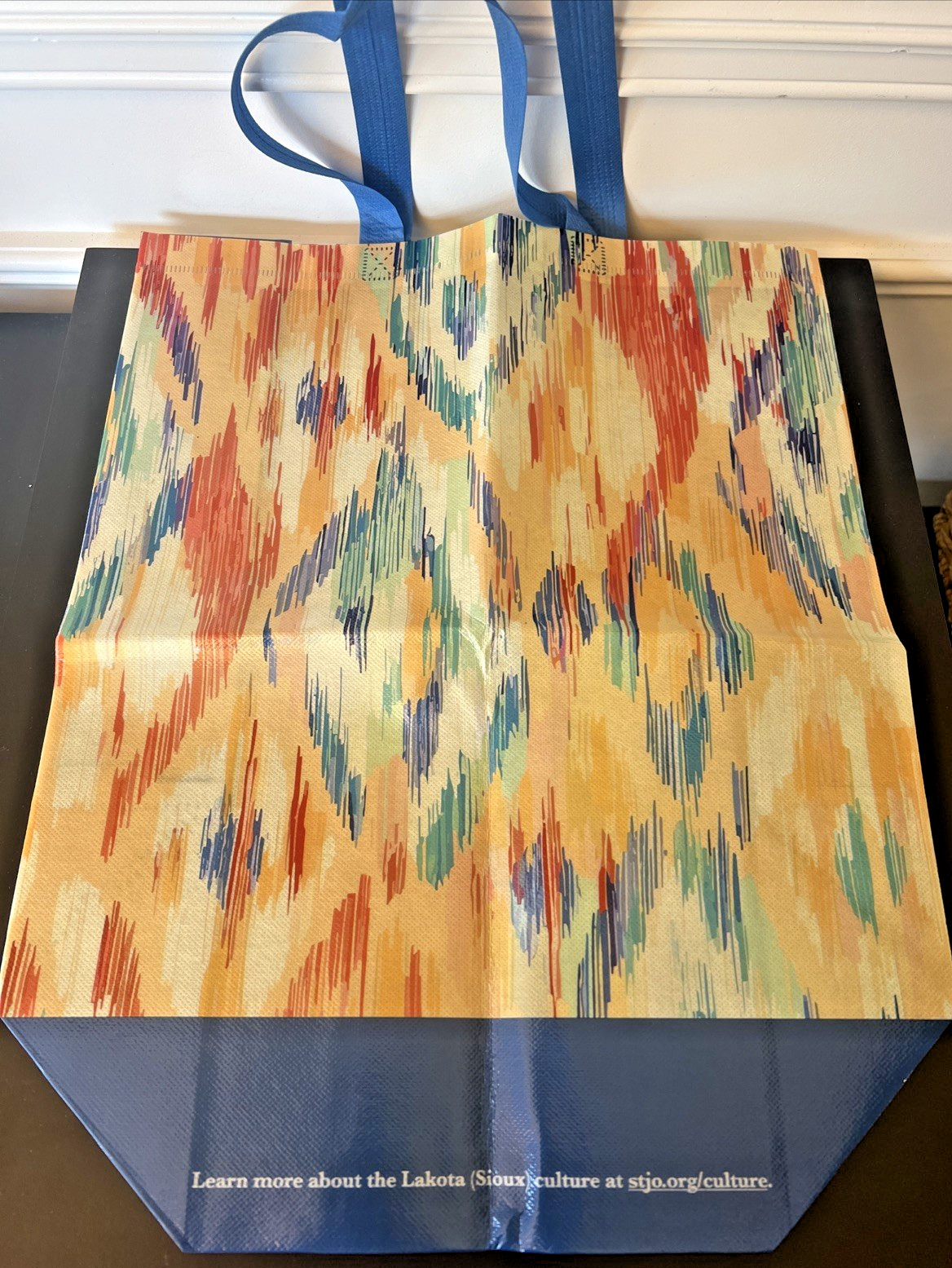 Reusable 6 Gallon Blue Multicolor Tote Bag St. Joseph’s Indian School Charity