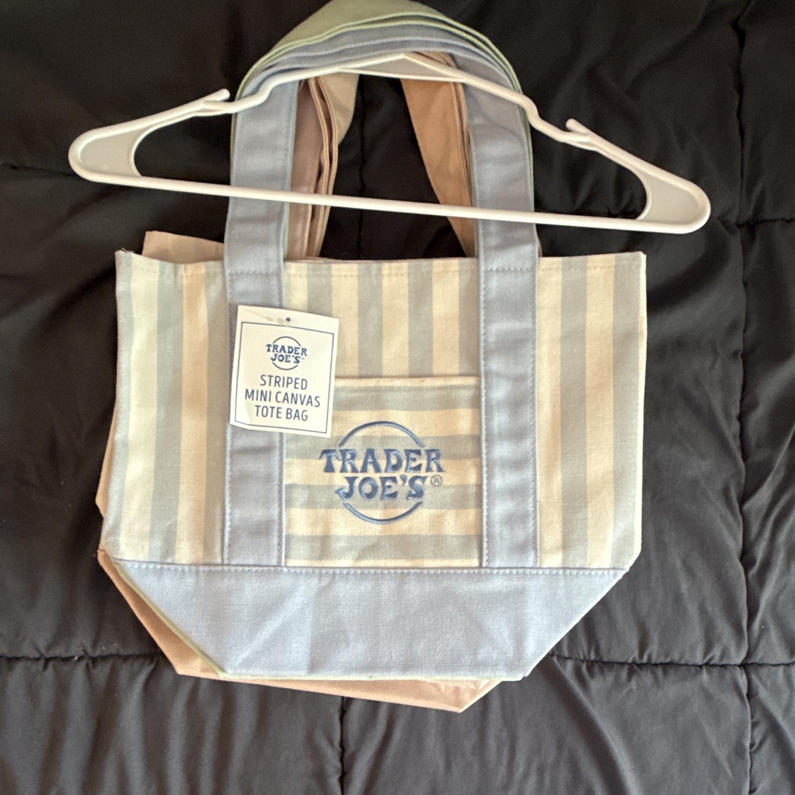 Trader Joe’s Striped Mini Canvas Tote Bag Blue/Beige 13x10x6 in New