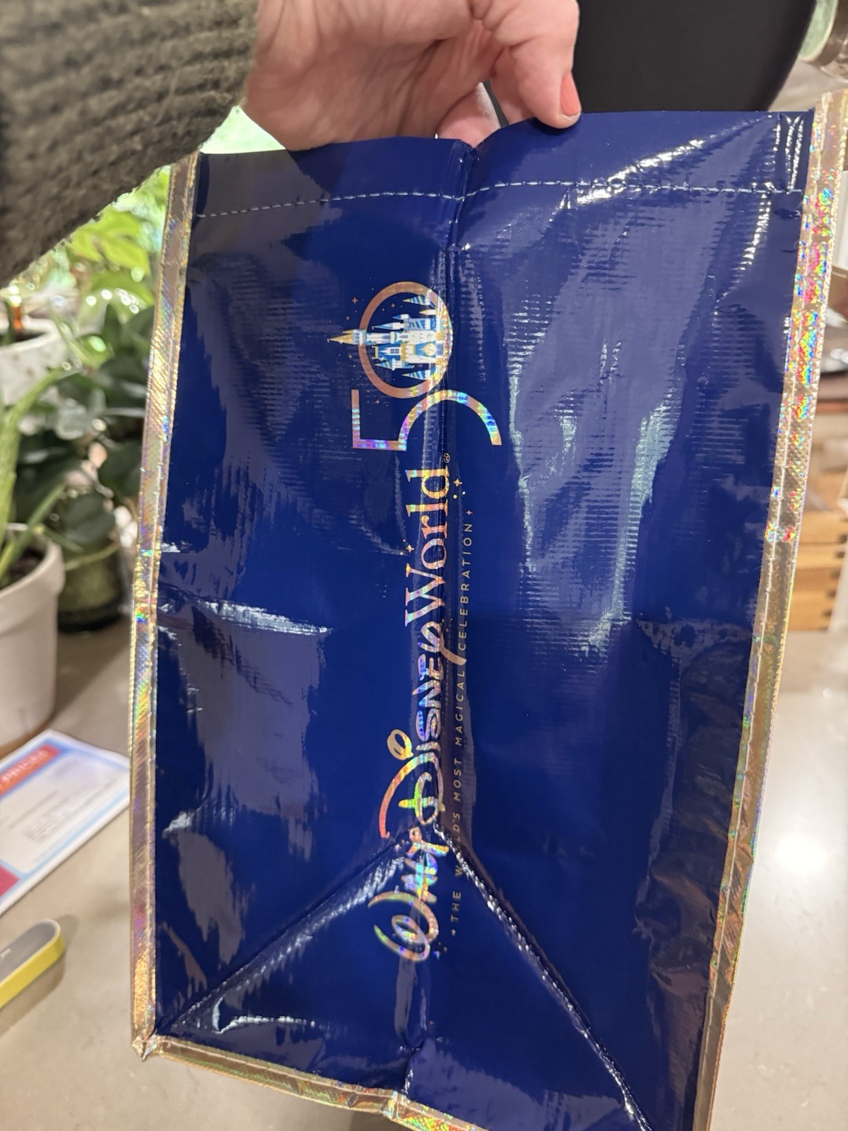 Walt Disney World 50th Anniversary Character Reusable Tote Bag Double Handles