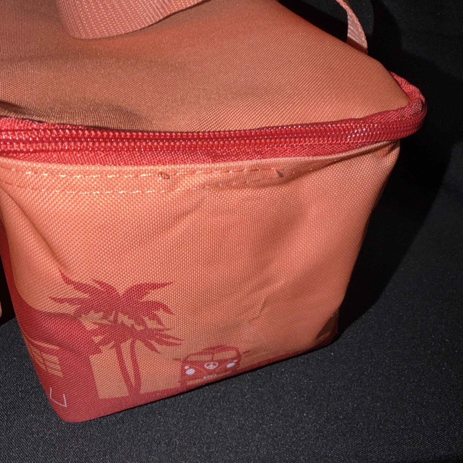 Trader Joe’s Mini Insulated Tote Bag -Peach/ Rose -New With Tags
