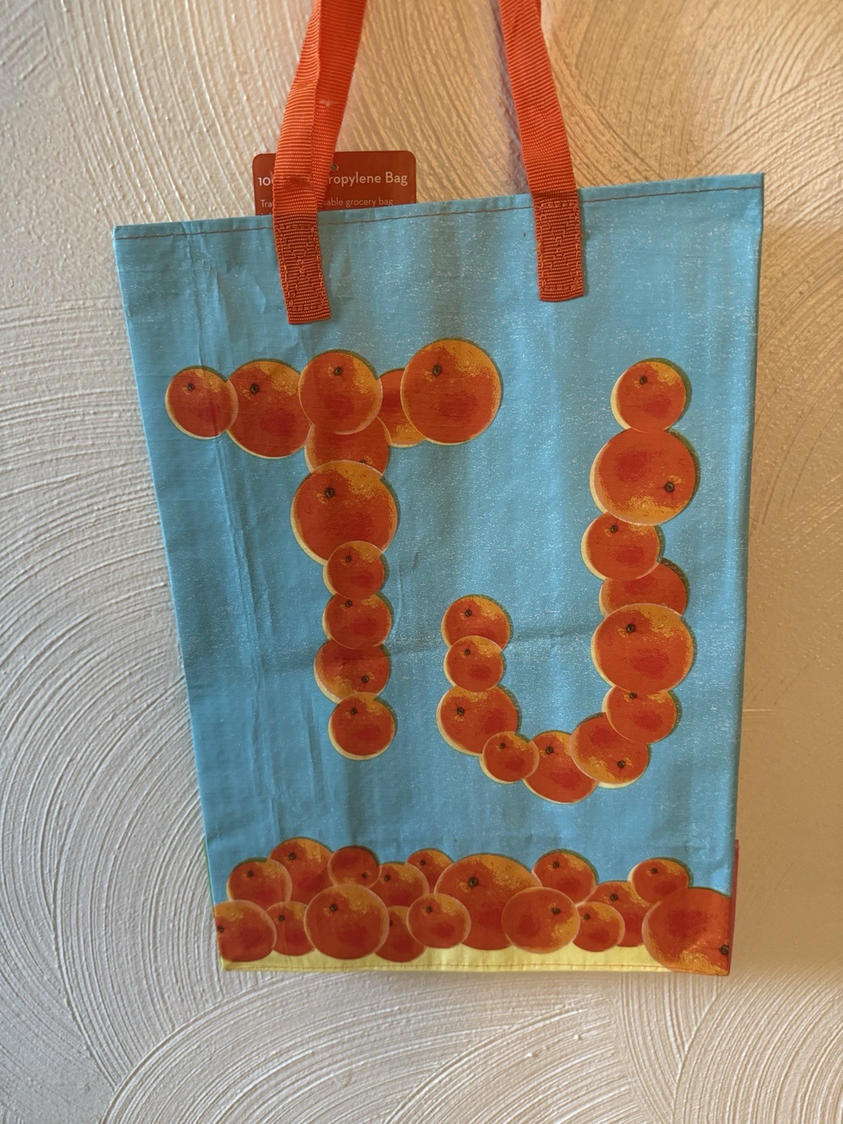 Trader Joe’s Florida Reusable State Bag NWT-6 Gal