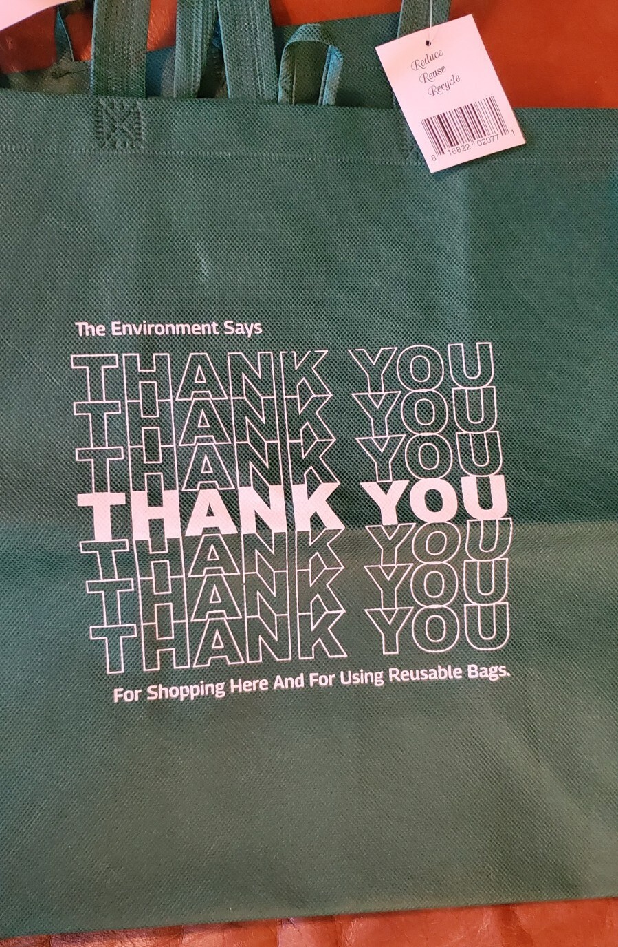 Reusable Recycled 2 Count Shopping Bag Tote 2ct Green Brand New with Tags
