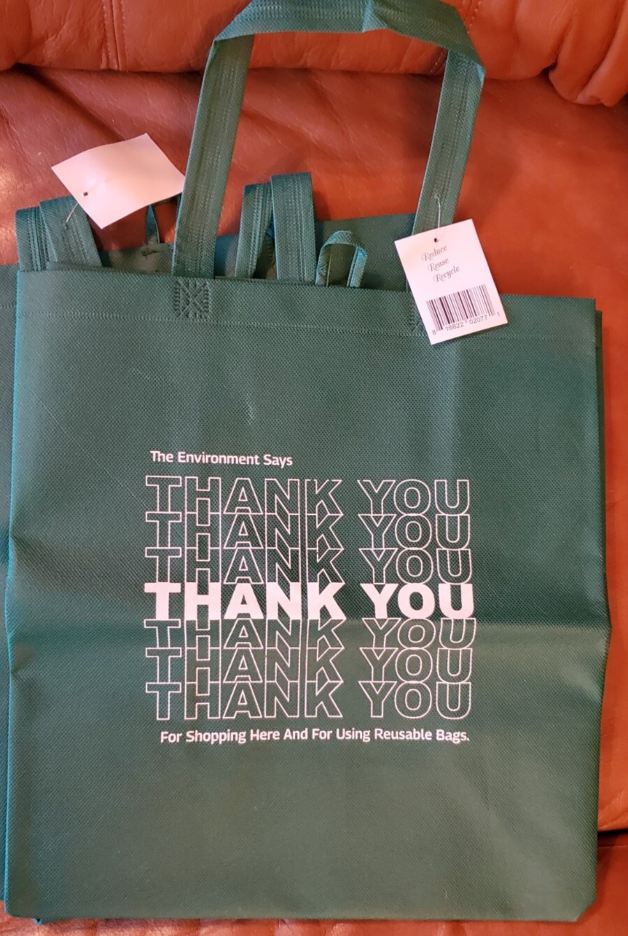 Reusable Recycled 2 Count Shopping Bag Tote 2ct Green Brand New with Tags