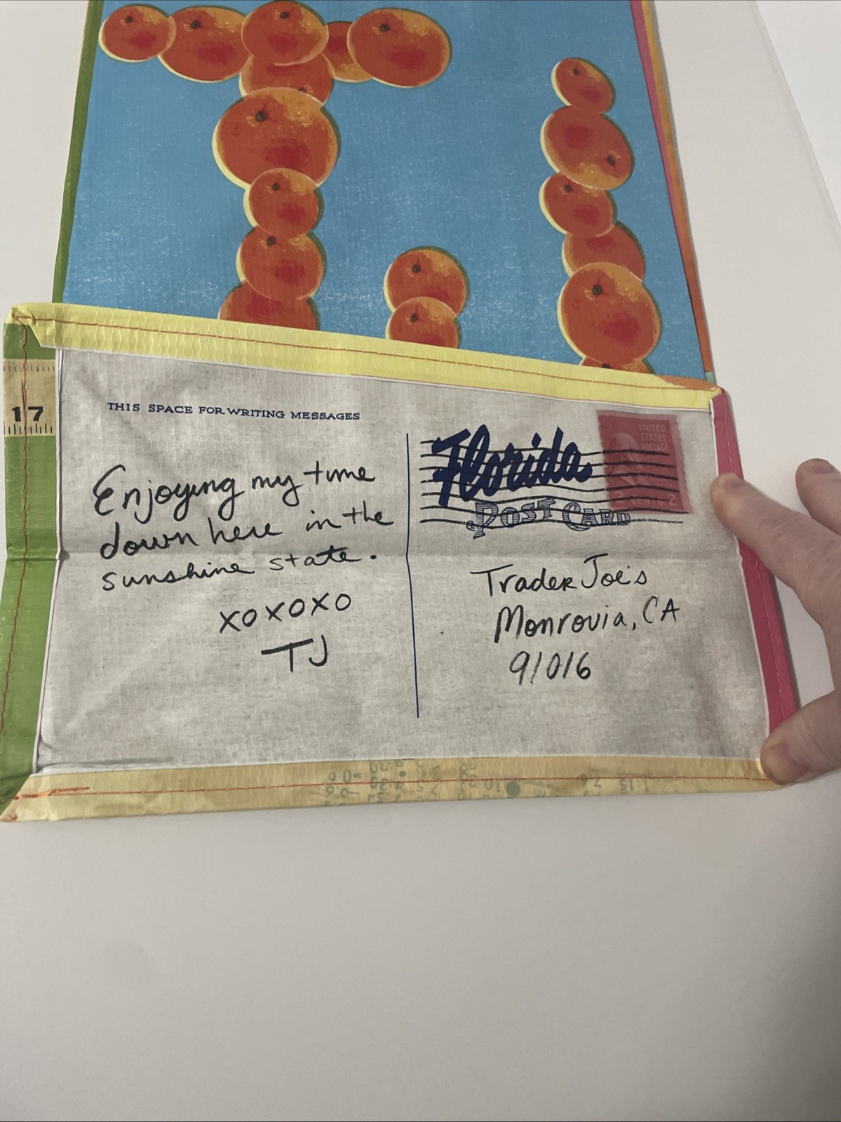 Trader Joe’s State Bag FLORIDA Reusable Shopping Tote Bag NWT