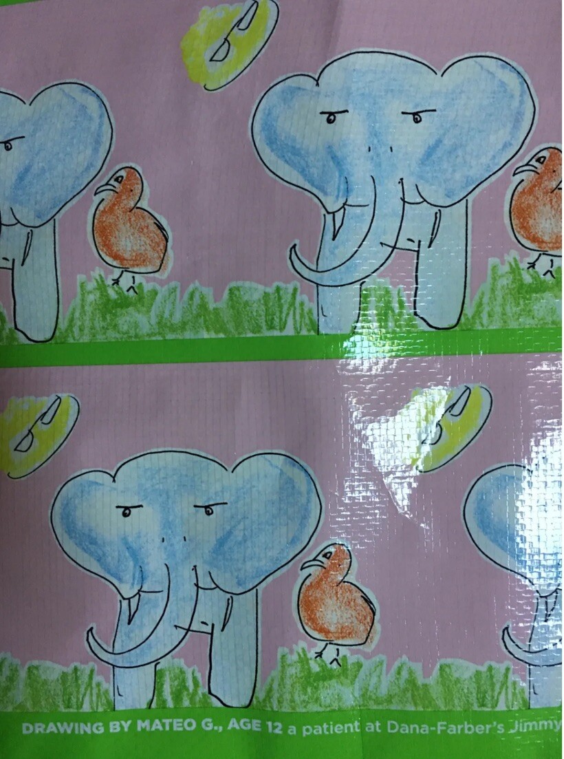 ELEPHANTS 🐘 REUSABLE Shopping Bag~HomeGoods~EcoFriendly TOTE~Jimmy Fund CUTE!