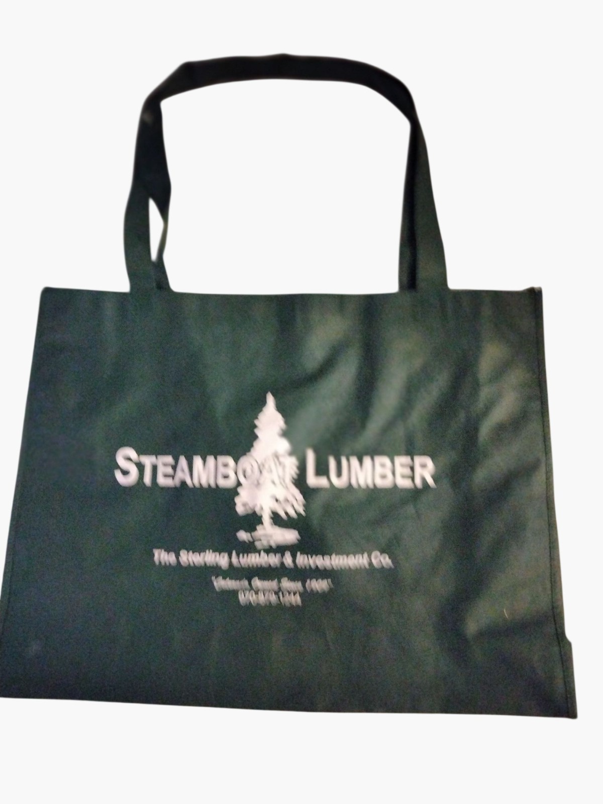 Steamboat Springs Reusable Tote Bag Green Eco Friendly Shopping Carry All