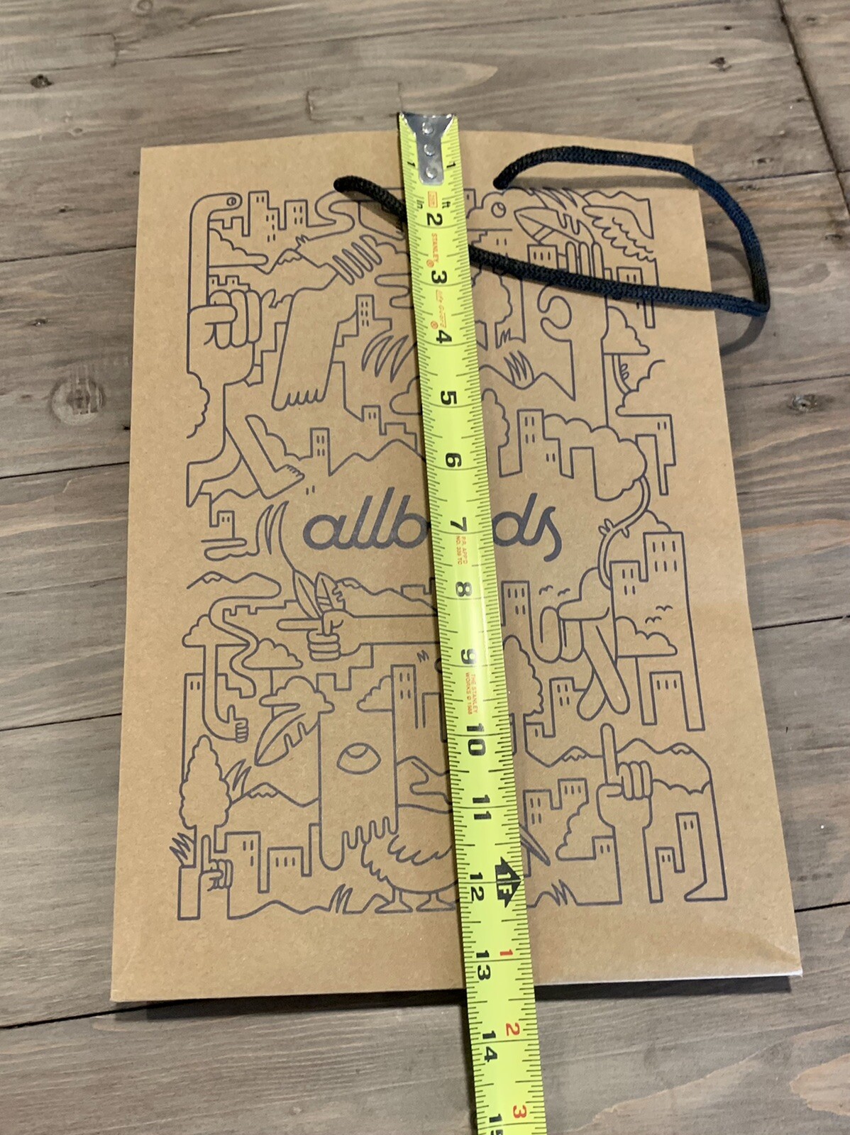 Allbirds Paper shopping bag