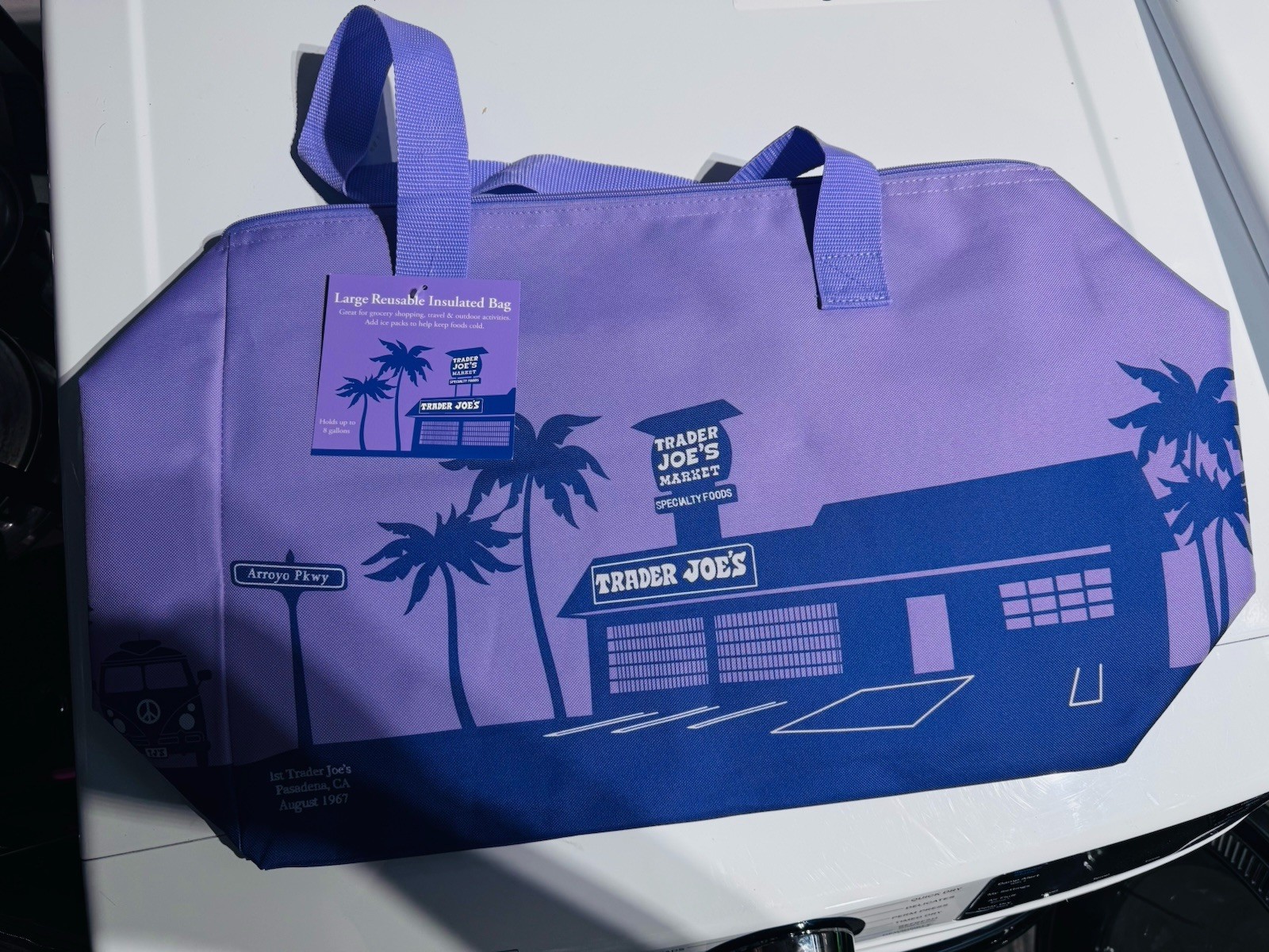 Trader Joe’s Large Insulated Reusable Shopping Bag Purple Polyester Zipper Mesh