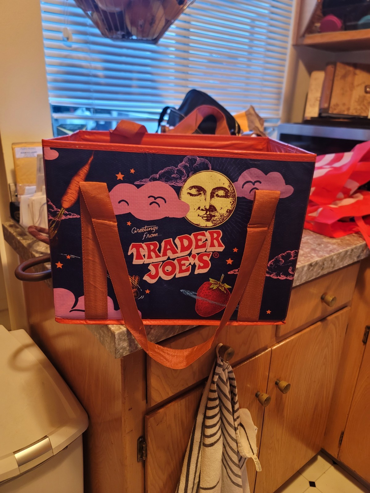 New Trader Joe’s Stand Up Collapsible Reusable Grocery Tote Shopping Bag