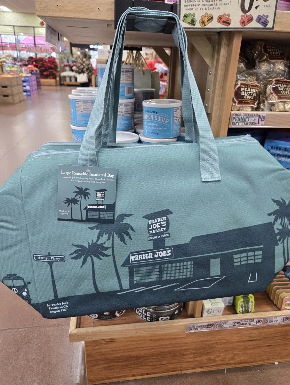 Trader Joe’s Large Reusable Insulated Shopping Bag Teal Zipper Foldable