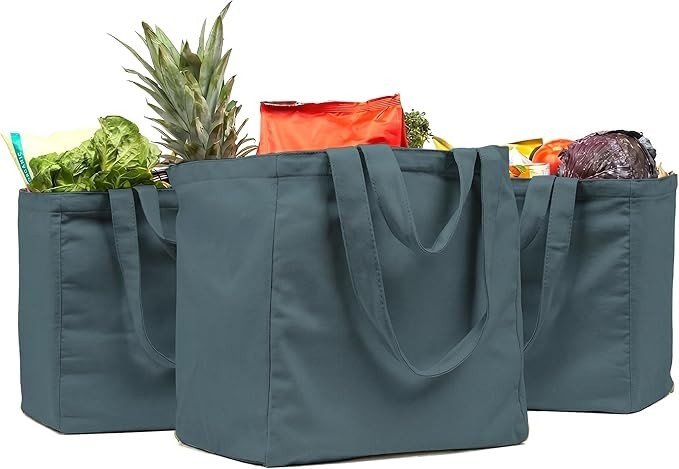 Canvas Grocery Bags Set of 3 XL 80lb Heavy Duty with Real Pockets Shoulder Strap