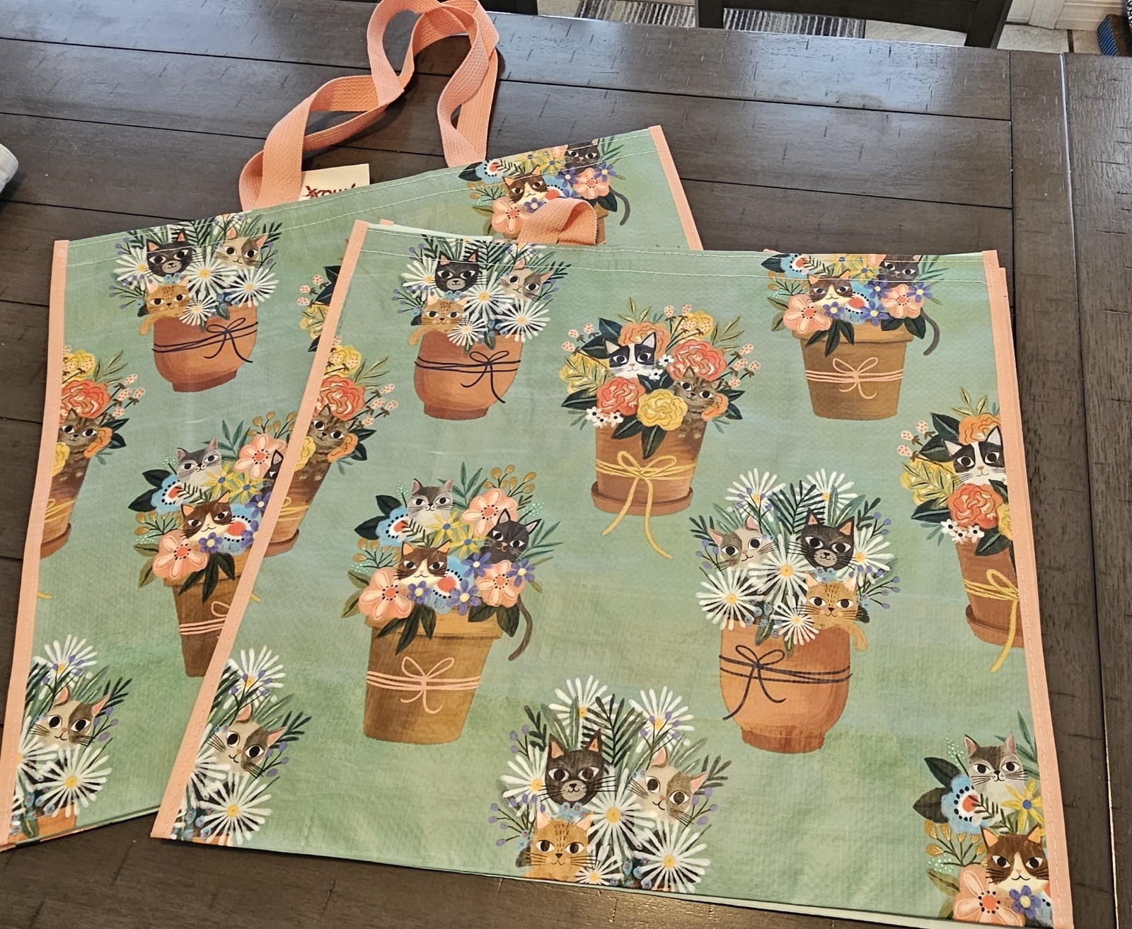 NEW Lot of 2 Spring Cat Flower Pot XL Reusable Shopping Gift Bags TJ Maxx Eco