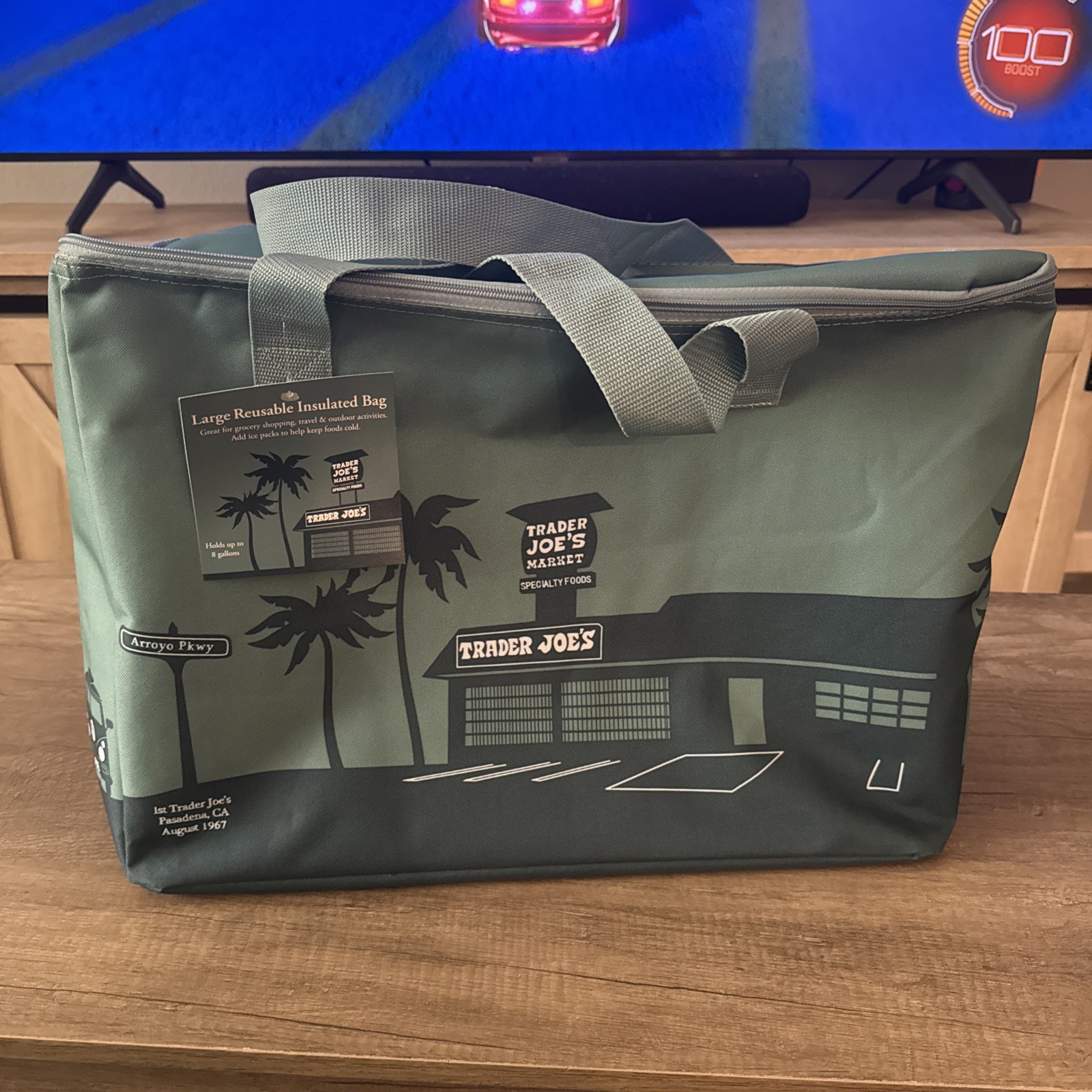TRADER JOES LARGE 8 GALLON REUSABLE INSULATED COOLER BAG EMERALD GREEN