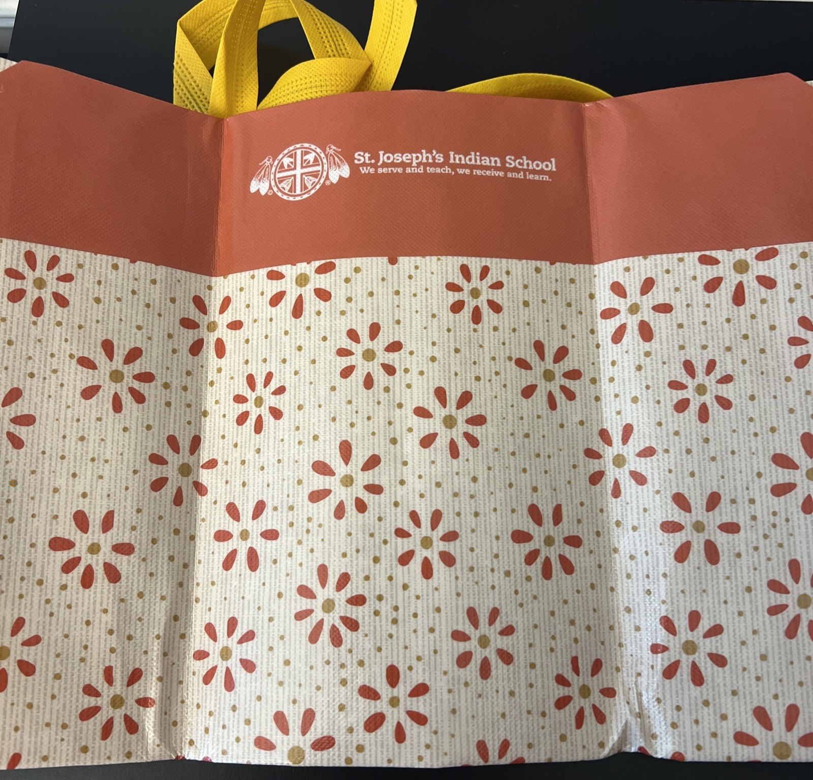 Reusable 8 Gallon Multicolor Mauve Tote Bag St. Joseph’s Indian School Charity