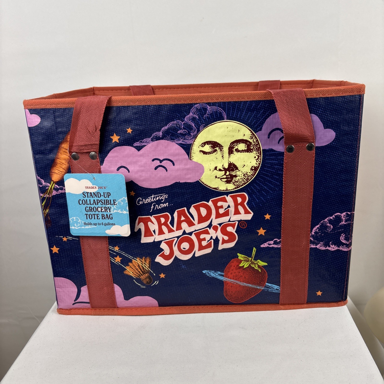 Trader Joe’s Stand Up Collapsible Reusable Grocery Tote Shop Bag gently preloved