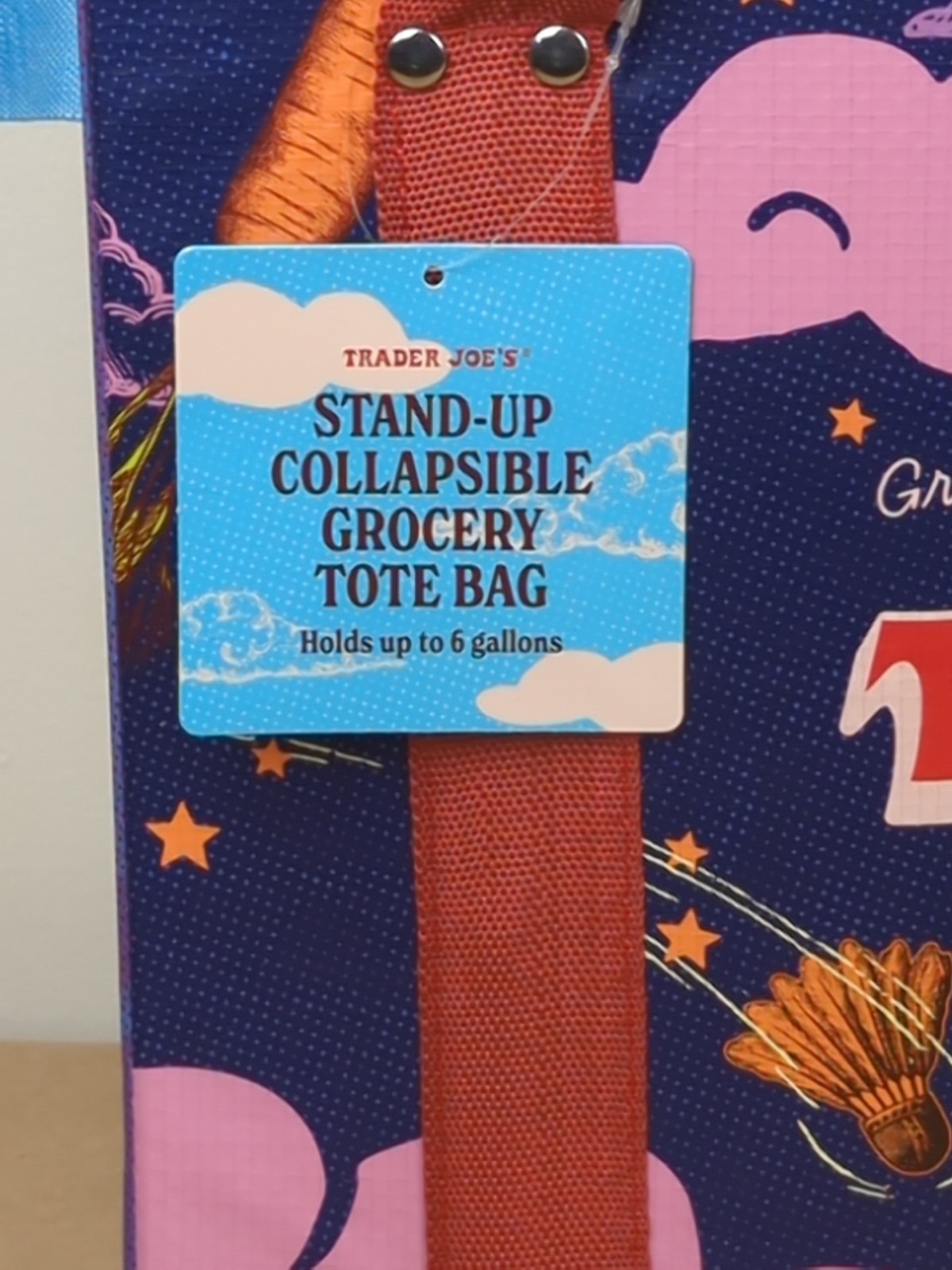 Trader Joe’s Stand-Up Collapsible Grocery Tote Bag NWT