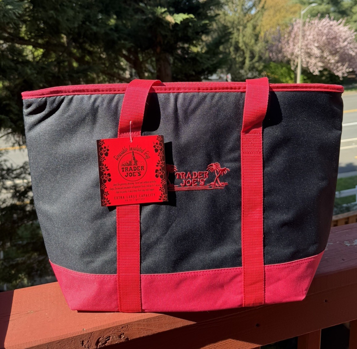 Trader Joe’s Large Reusable Insulated Grocery Cooler Tote Bag Black Red Freezer