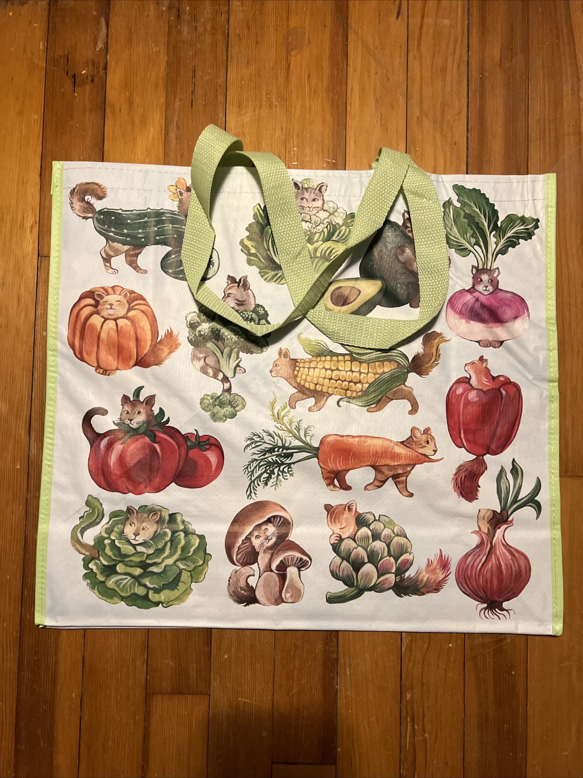 TJ MAXX Fancy Cats As Fancy VEGGIES- Large Reusable Shopping Tote Eco Bag