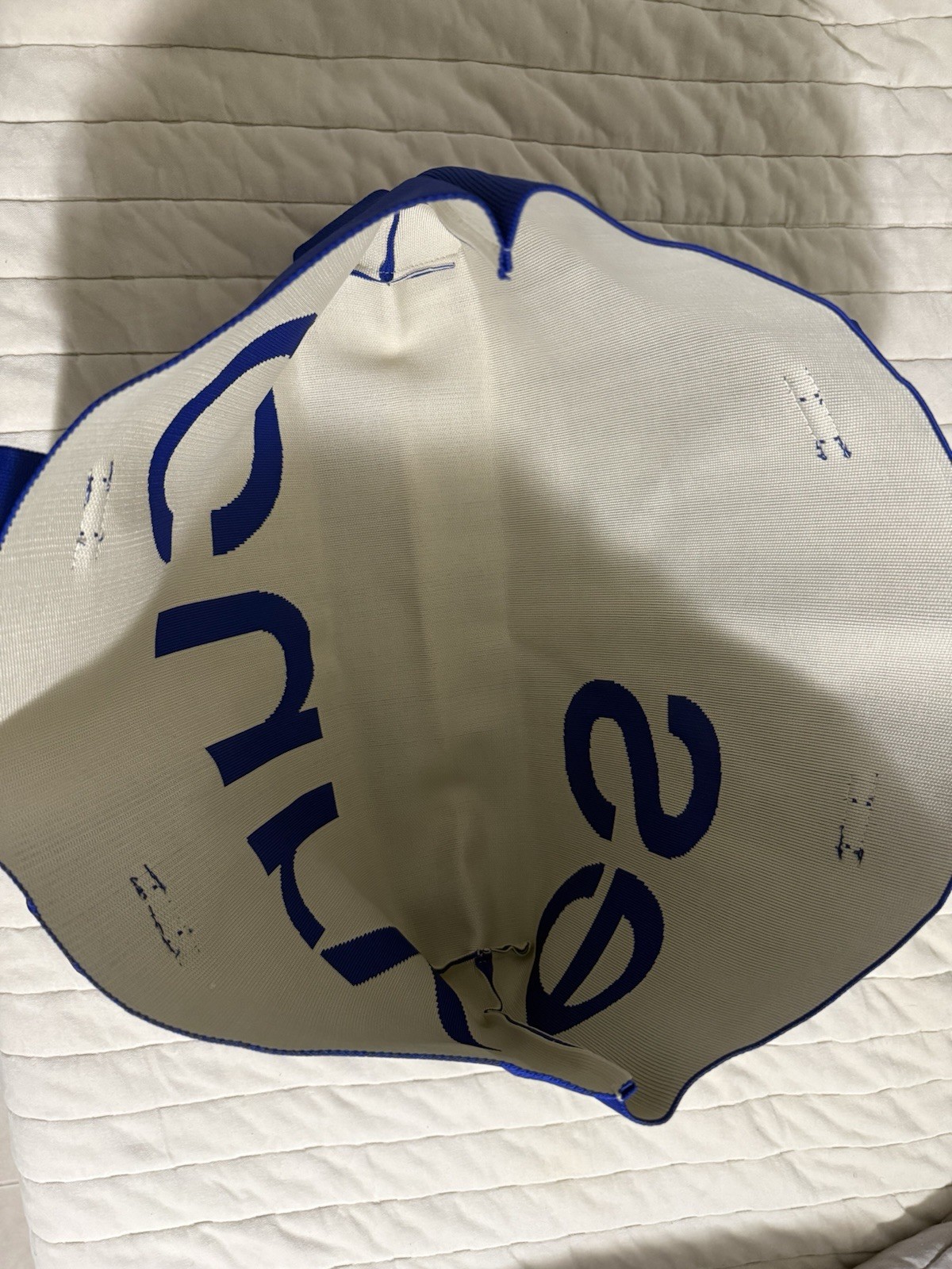 Curves Blue/White Large Tote Bag