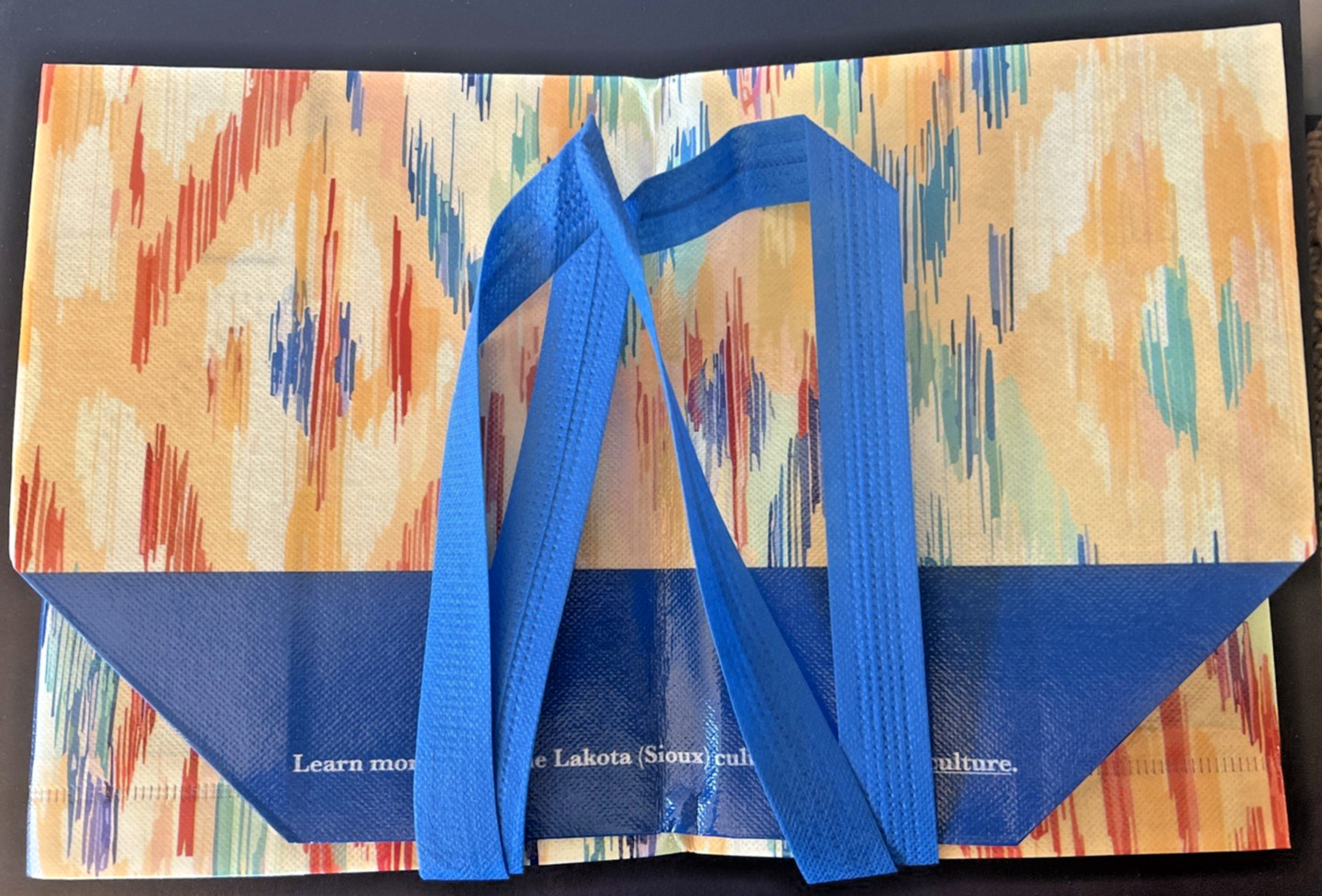 Reusable 6 Gallon Blue Multicolor Tote Bag St. Joseph’s Indian School Charity