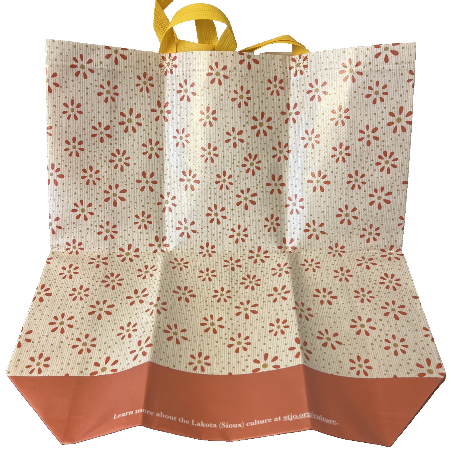 Reusable 8 Gallon Multicolor Mauve Tote Bag St. Joseph’s Indian School Charity