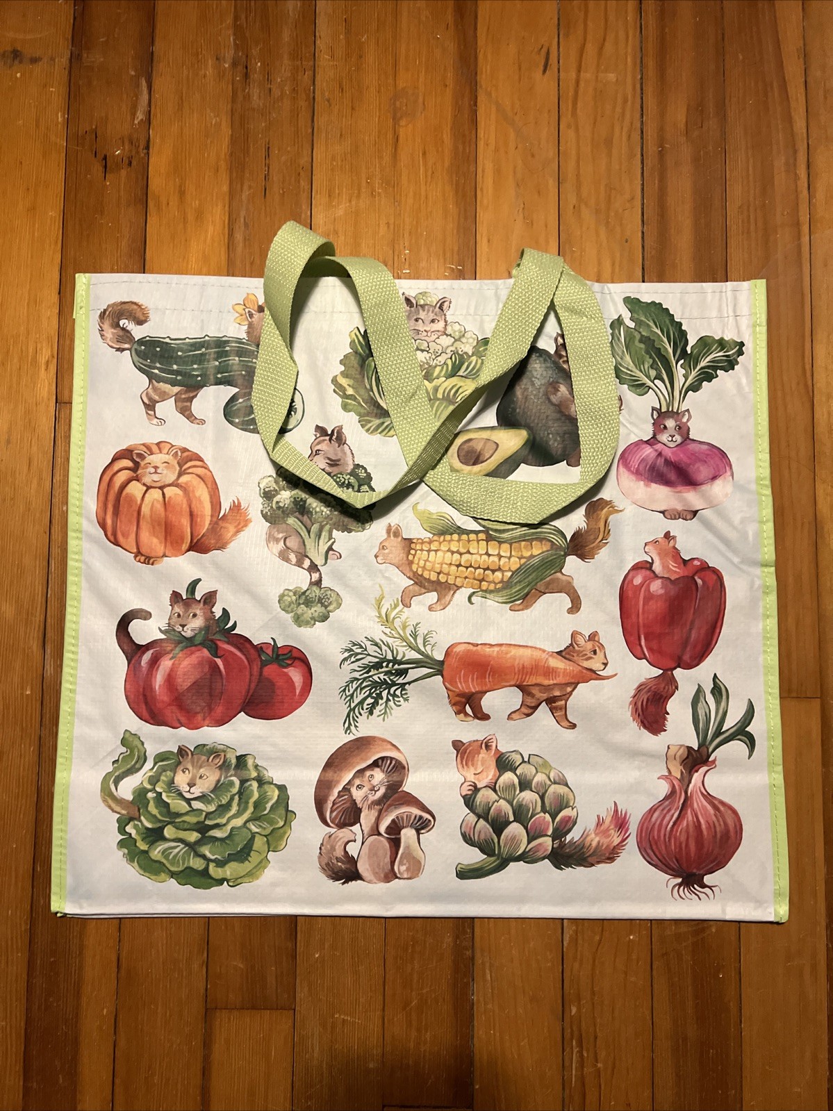 TJ MAXX Fancy Cats As Fancy VEGGIES- Large Reusable Shopping Tote Eco Bag