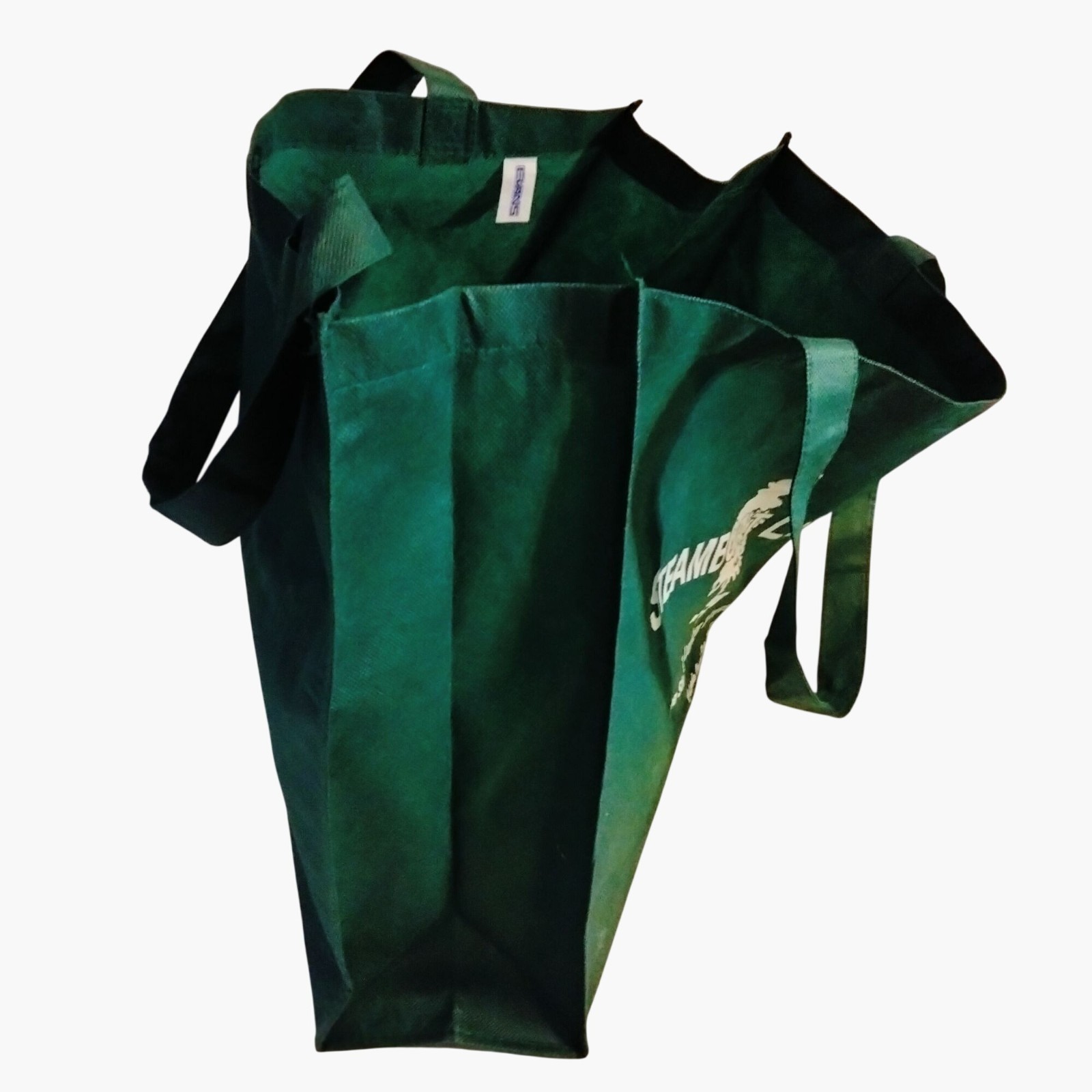 Steamboat Springs Reusable Tote Bag Green Eco Friendly Shopping Carry All