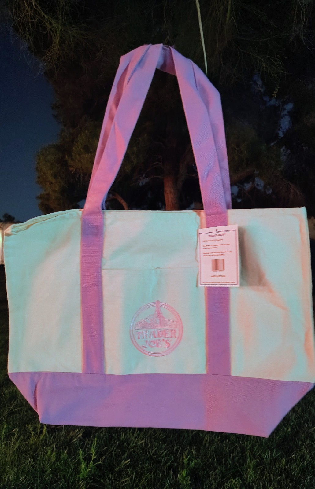 Traders Joe’s Large Lavender Recycle Bag Shopping Tote