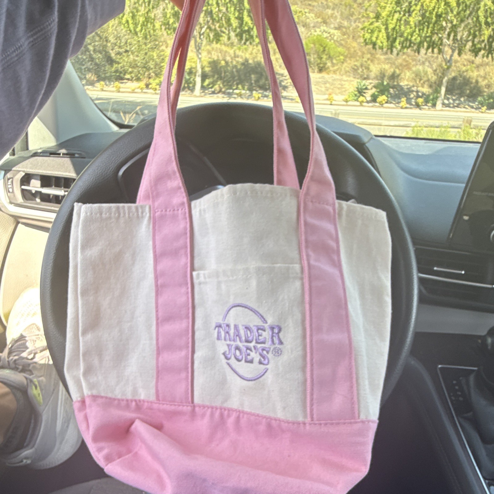 Trader Joe’s Canvas Reusable Tote Bag Pink & White Small 10x10x14 in New