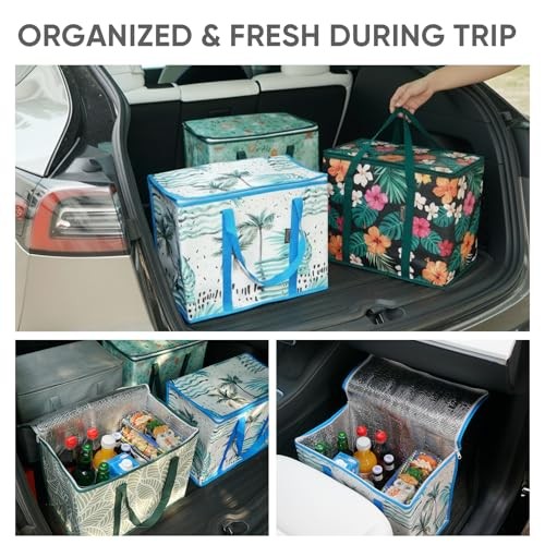 2Pk Insulated Reusable Grocery Bags – Collapsible Cooler – 2 Pack Spring Stroll