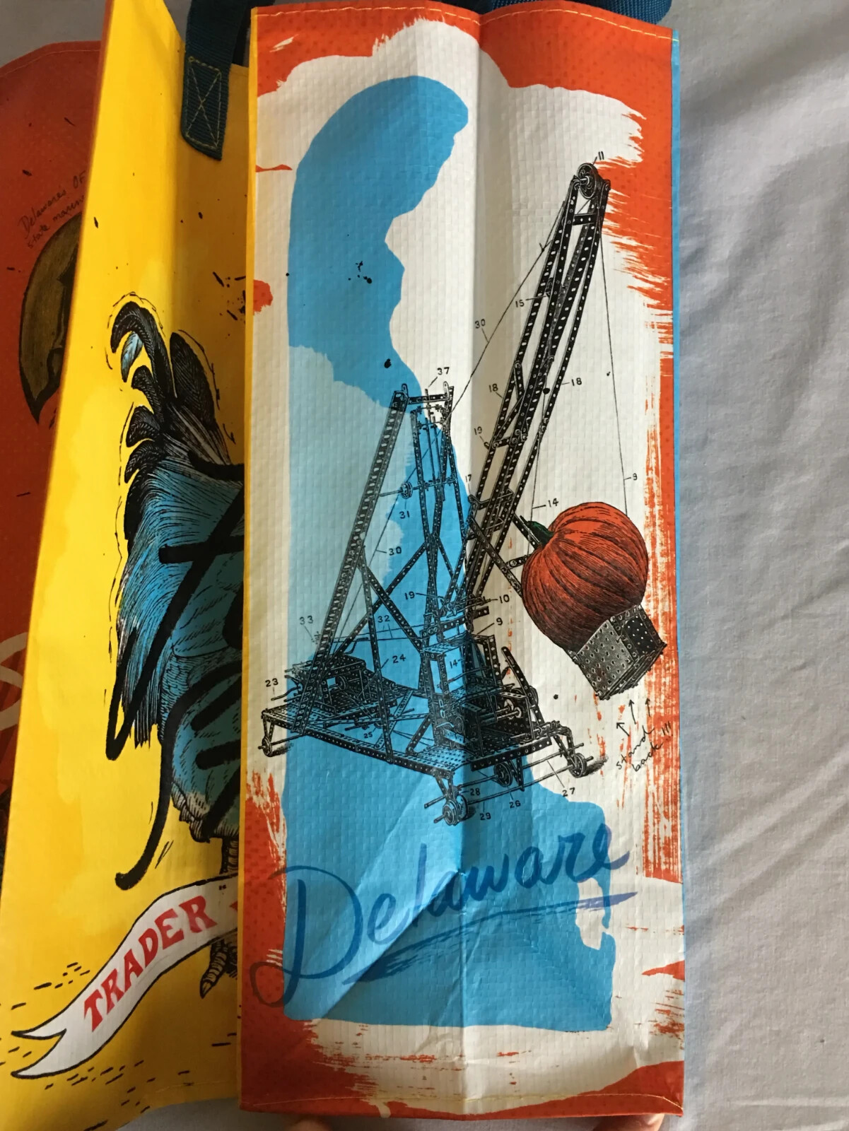 Trader Joe’s Reusable State/Region Tote Polypropylene Bag from Delaware 6 Gallon