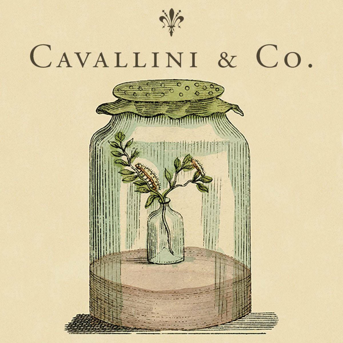 Cavallini & Co., “Gardening” Heavyweight Cotton Canvas Tote / Shopping Bag